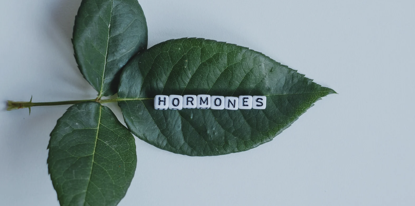 Testosterone Imbalance Treatments in Olney MD